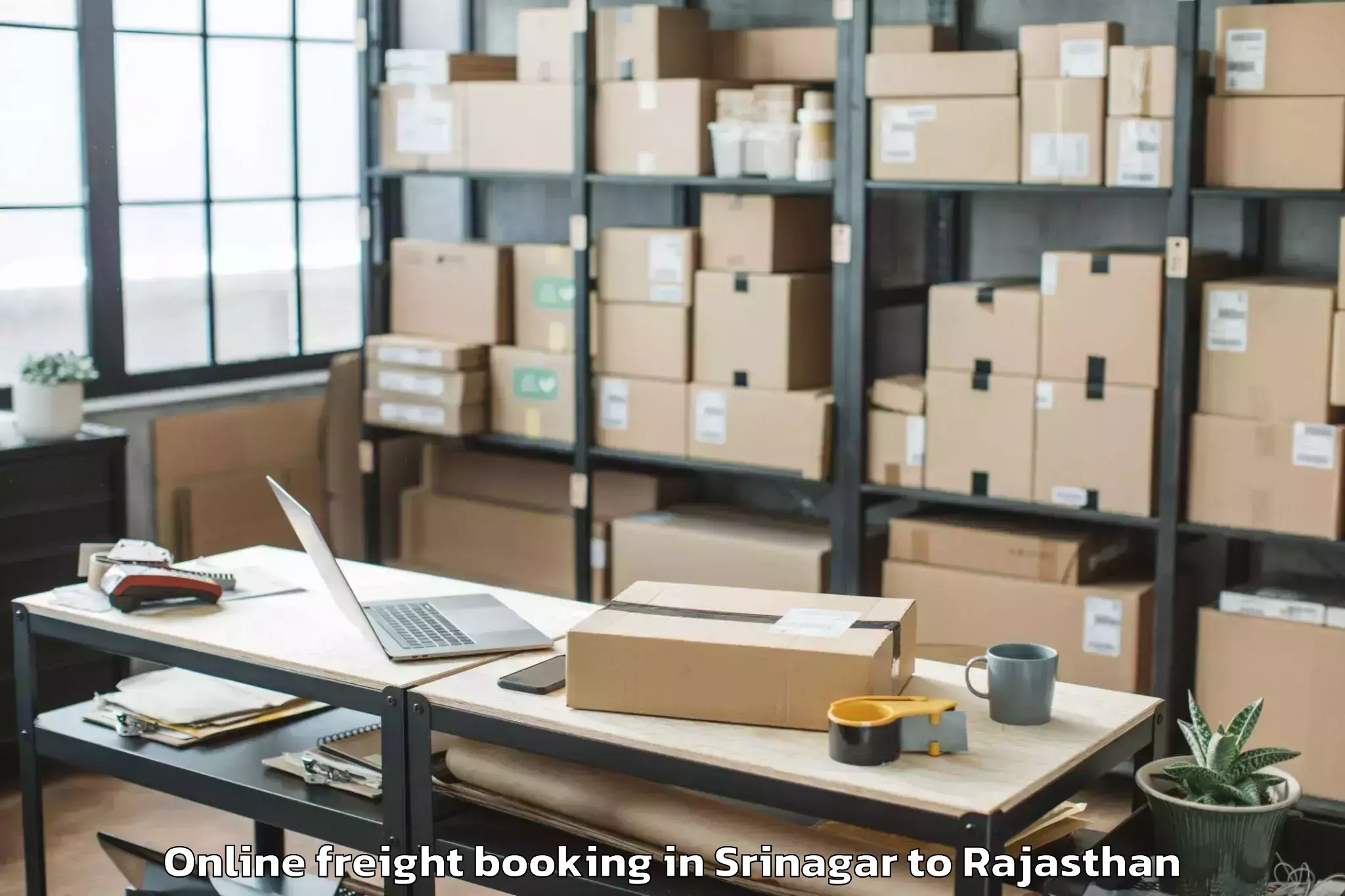 Reliable Srinagar to Dudu Online Freight Booking